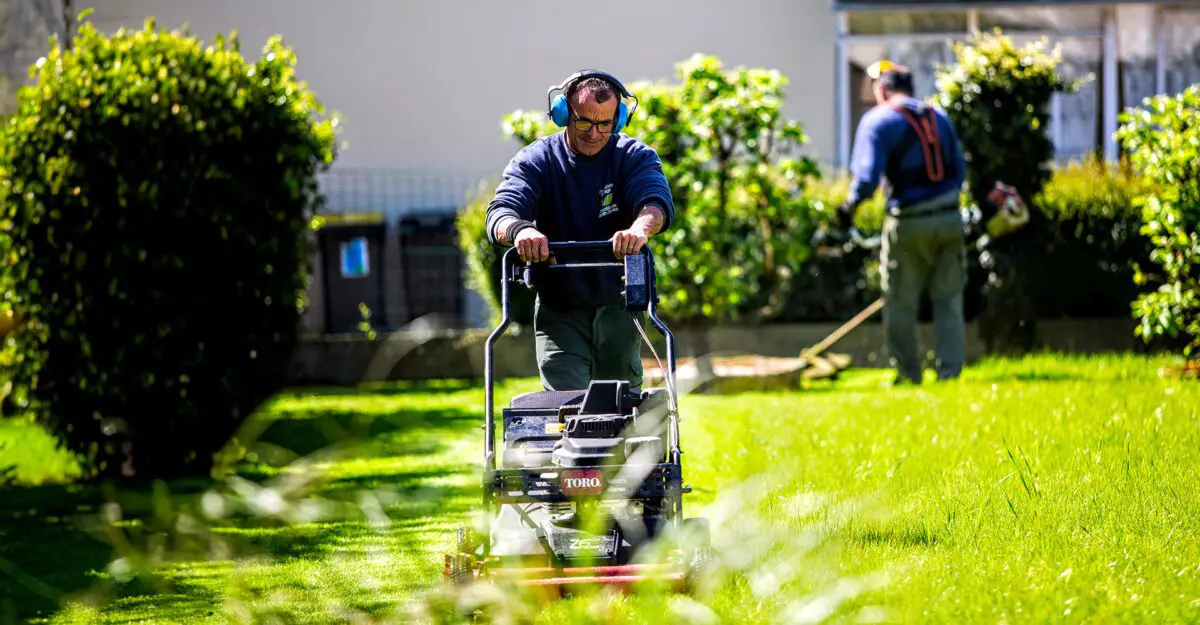 entretien de pelouse